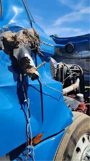 Freightliner Cascadia 126 Cowl