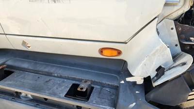 International ProStar Cowl