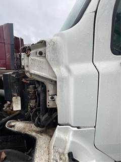 Sterling Acterra Cowl