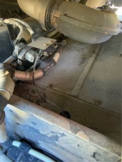 Freightliner Cascadia 125 DPF Filter