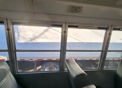 Blue Bird Door Window