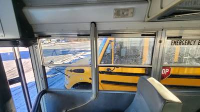 Blue Bird Door Window