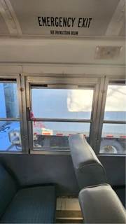 Blue Bird Door Window