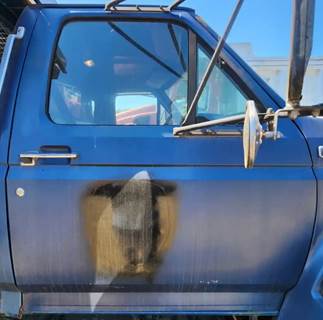 Ford F-700 Right Door for a 1997 Ford F700
