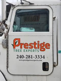 Peterbilt 330 Left Door