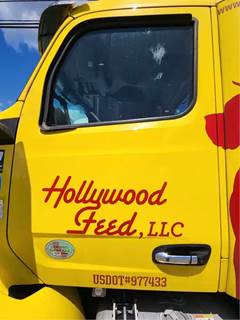 Peterbilt 579 Left Door