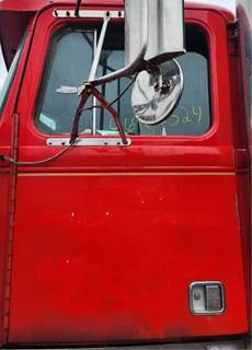 Western Star 4900 Left Door