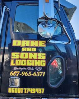 Western Star 4900EX Right Door