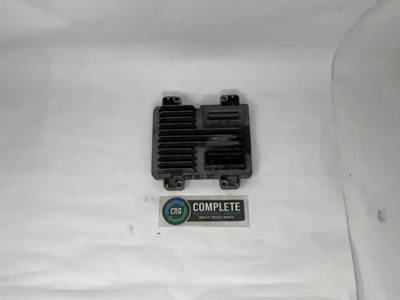 GM/Chev (HD) 4.8 Engine Control Module (ECM) for a 2008 Workhorse Custom Chassis W42