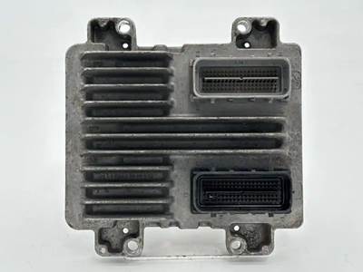 GM/Chev (HD) 4.8 Engine Control Module (ECM) for a 2008 Workhorse Custom Chassis W42