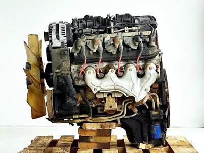 GM/Chev (HD) 4.8 Engine for a 2008 Workhorse Custom Chassis W42