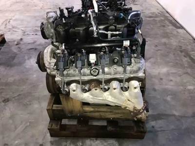 GM/Chev (HD) 6.0L Engine for a 2007 Workhorse Custom Chassis W42