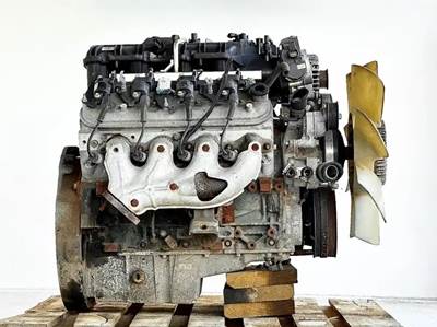 GM/Chev (HD) 6.0L Engine for a 2011 Workhorse Custom Chassis W62
