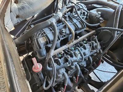 GM/Chev (HD) 6.0L Engine for a 2012 Workhorse Custom Chassis W62
