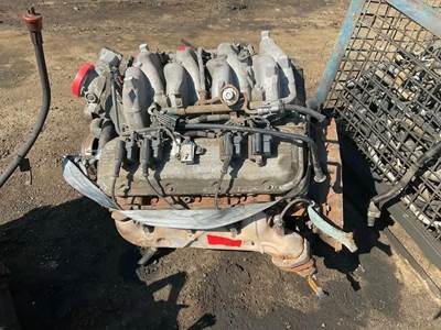 GM/Chev (HD) 8.1L GAS Engine for a 2007 Workhorse Custom Chassis W62