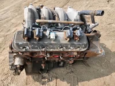 GM/Chev (HD) 8.1L GAS Engine for a 2007 Workhorse Custom Chassis W62