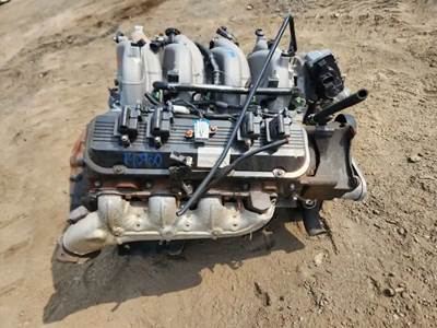GM/Chev (HD) 8.1L GAS Engine for a 2007 Workhorse Custom Chassis W62
