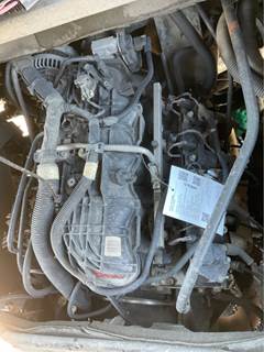 GM/Chev (HD) V8, 4.8L, Gas Engine for a 2008 Workhorse Custom Chassis W42