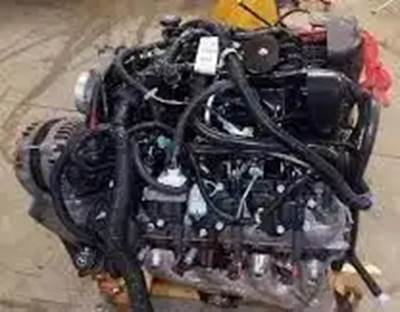 GM/Chev (HD) V8, 4.8L, Gas Engine for a 2007 Workhorse Custom Chassis W42