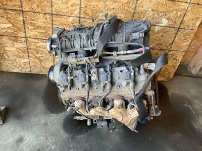 GM/Chev (HD) V8, 4.8L, Gas Engine for a 2009 Workhorse Custom Chassis W42