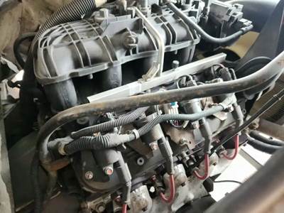 GM/Chev (HD) V8, 4.8L, Gas Engine for a 2009 Workhorse Custom Chassis W42
