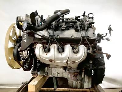 GM/Chev (HD) V8, 8.1L; MFI; Vortec; Gasoline Engine for a 2007 Workhorse Custom Chassis W62