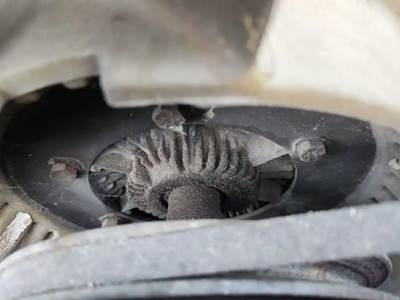 GM/Chev (HD) 7.4 L Fan Clutch for a 1999 GMC C6500