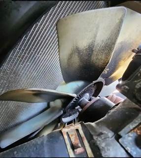 Hino J05E-TP Fan for a 2020 Hino 195