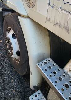 Freightliner Cascadia 113 Left Fender Extension