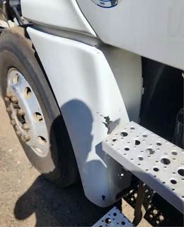 Freightliner Cascadia 125 Left Fender Extension