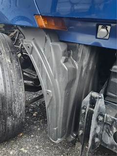 Freightliner Cascadia 126 Left Fender Extension