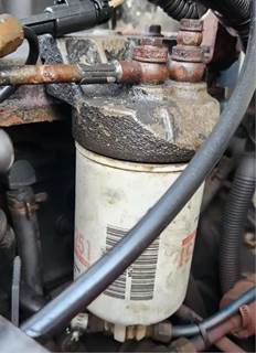 Cummins B5.9 Fuel / Water Separator for a 1996 Freightliner FL70