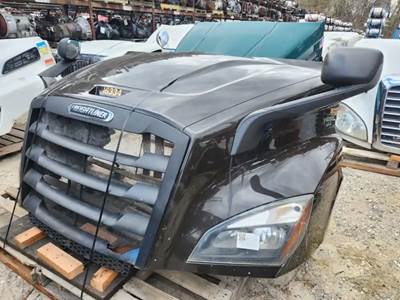 Freightliner Cascadia 116 Hood for a 2019 Freightliner Cascadia 116 Day Cab