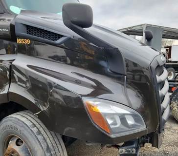 Freightliner Cascadia 116 Hood for a 2020 Freightliner Cascadia 116 Day Cab