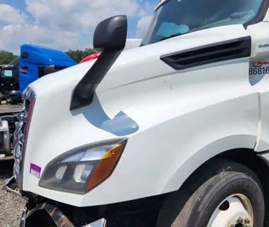 Used 2019 Freightliner Cascadia 126 Hood Assembly 52" Length, White Fiberglass