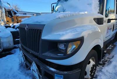 International TerraStar Hood