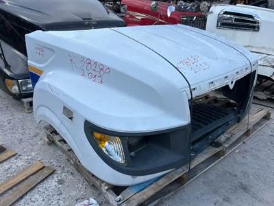 International TerraStar Hood