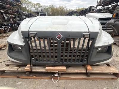 International TerraStar Hood