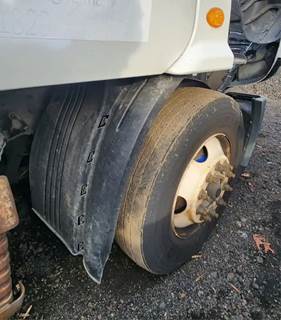 Freightliner Cascadia 113 Inner Fender