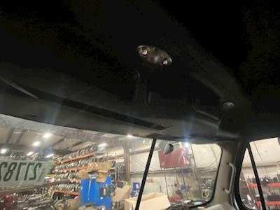 Freightliner Cascadia 125 Interior Part