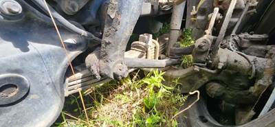 International Paystar 5900i Front Leaf Spring