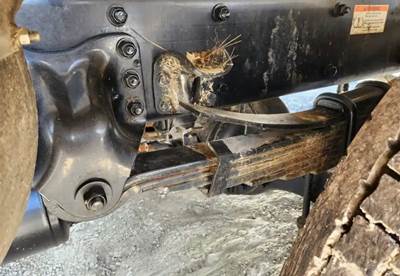 Freightliner M2 106 Rear Leaf Spring