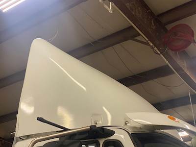 International ProStar