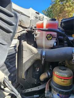 Freightliner Cascadia 113 Radiator