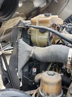 Freightliner Cascadia 125 Radiator
