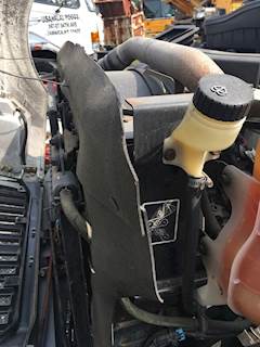 International TerraStar Radiator