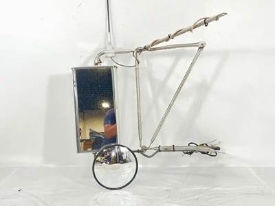 Kenworth W900 Left Side View Mirror