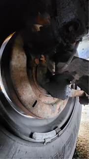 Blue Bird Right Spindle