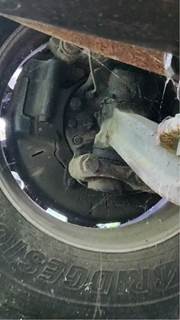 Freightliner Cascadia 113 Right Spindle