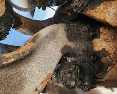 Spartan Advantage Left Spindle